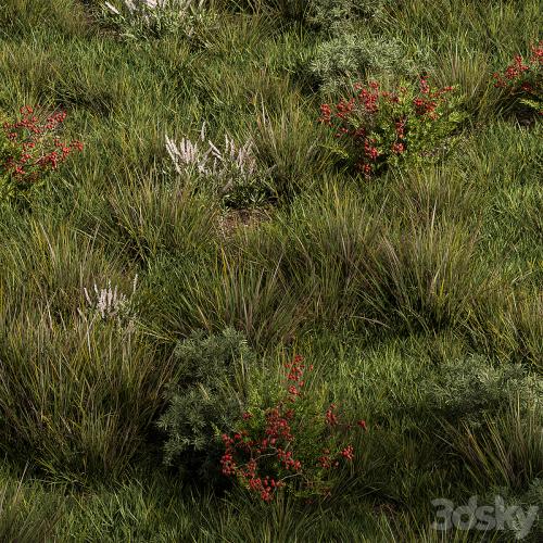 Nature Meadow - Grass Set 17