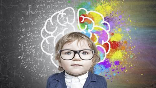 Udemy - Right Brain Education Flashcards: A Guide for Parents