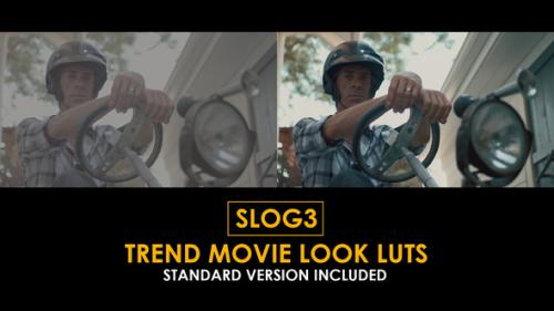 Videohive - Slog3 Trend Movie Look LUTs and Standard Color LUTs - 51062274