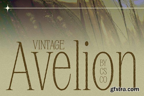 Avelion Vintage QR69JHW