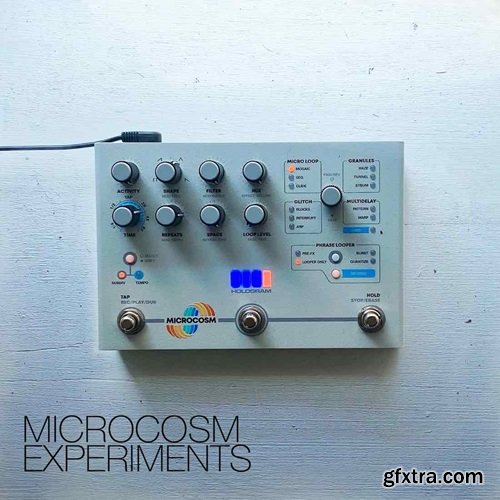 David Hilowitz Microcosm Experiments [Patreon Exclusive] [Decent Sampler]