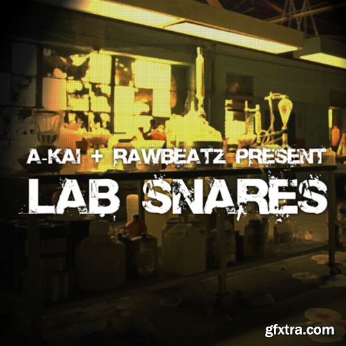 RawBeatz Lab Snares