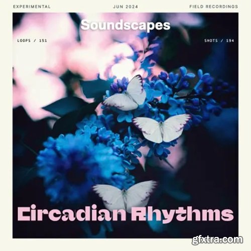 Splice Soundscapes Circadian Rhythms