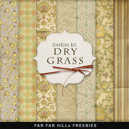 Texturest - Dry Grass 2013