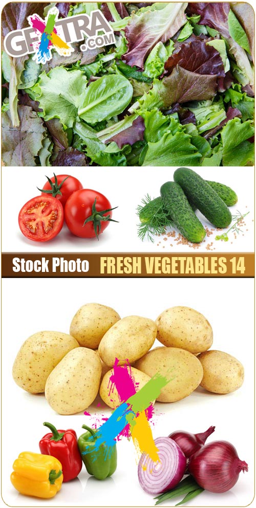 Fresh Vegetables 14, 6xJPGs