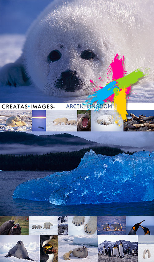 Creatas CRE166 Arctic Kingdom