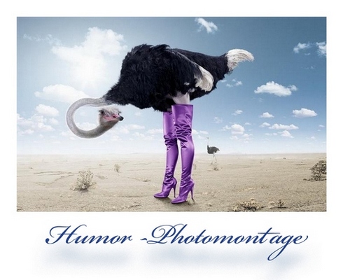 Humor- Photomontage
