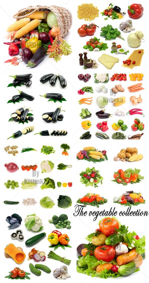 Stock Photo: The Vegetable Collection 9xJPGs