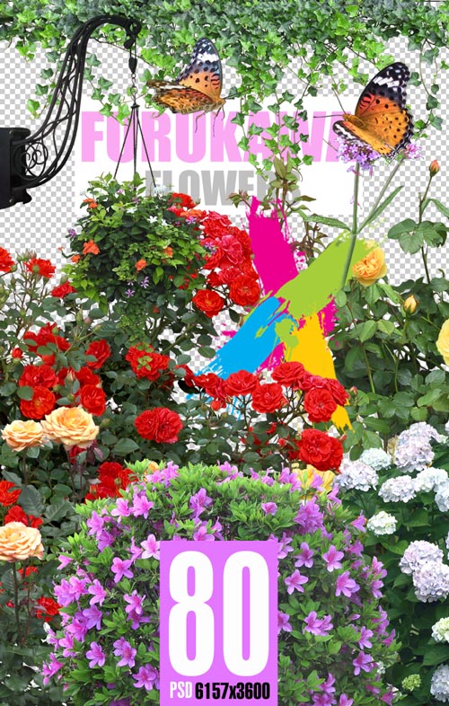 Furukawa 05 Flowers 80xPSD
