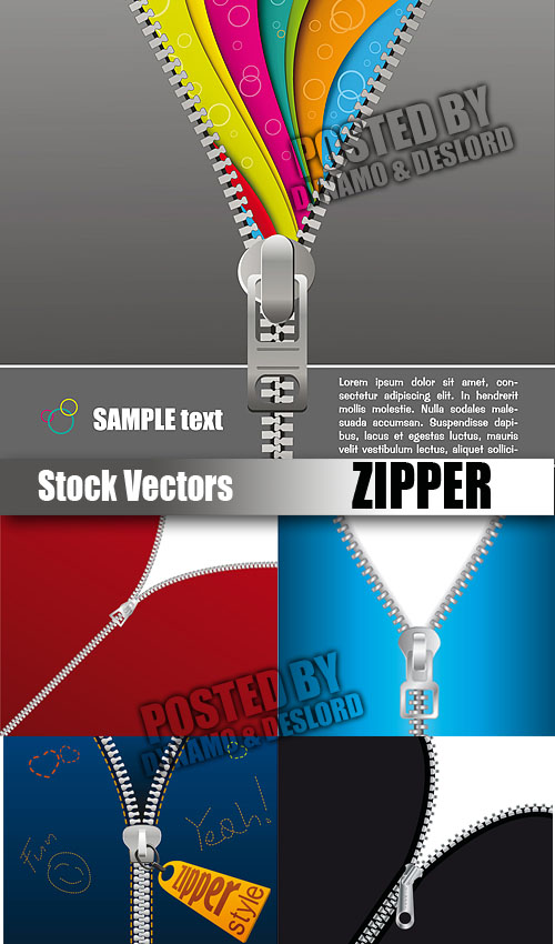 Stock Vectors - Zipper