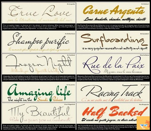 Various exclusive fonts