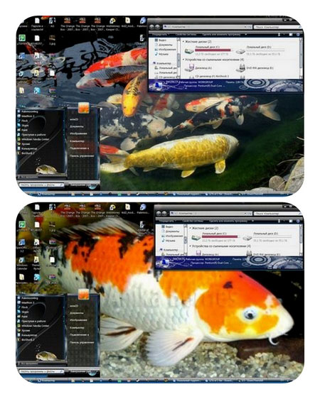 Theme for Windows 7 - Fish
