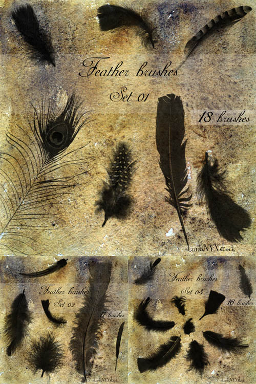 Brushes for Photoshop - Feathers