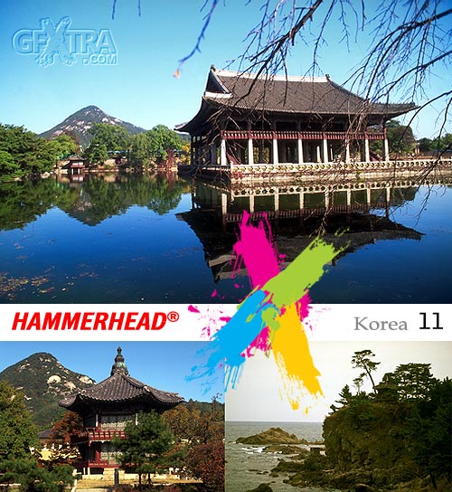 HummerHead 011 Korea