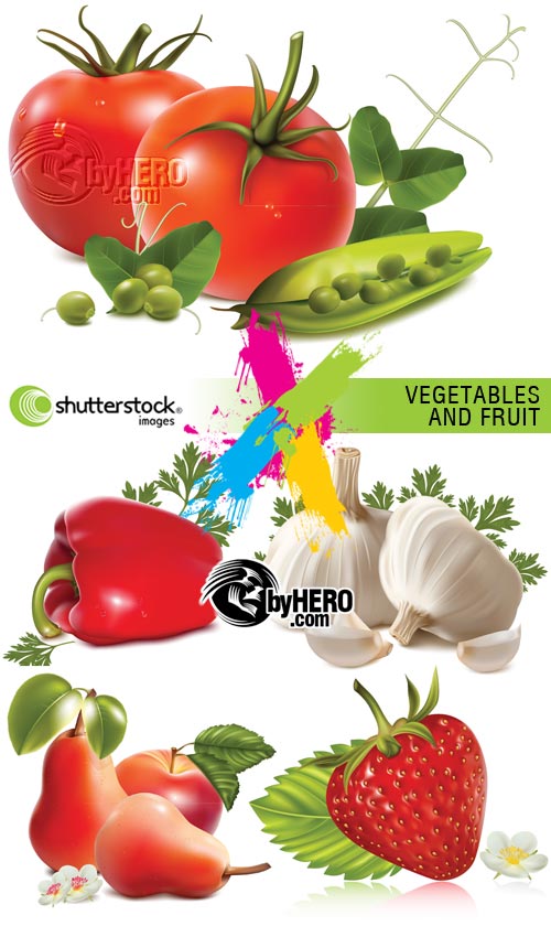 Vegetables and Fruits 5xEPS Vector SS