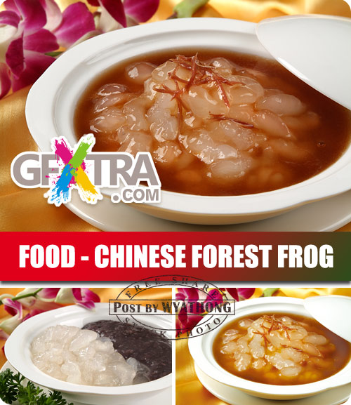 Stock Photo - Chinese Forest Frog
