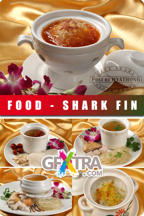 Stock Photo - Shark Fin 2