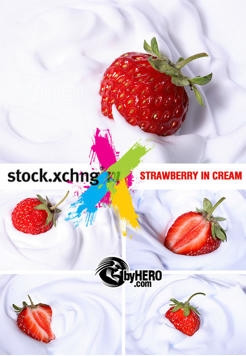 StockXchange - Strawberry in Cream 5xJPGs