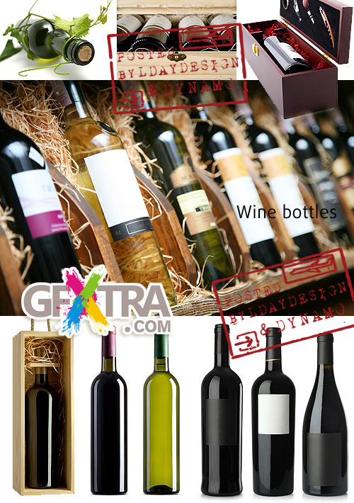 Wine bottles - Stock Photo