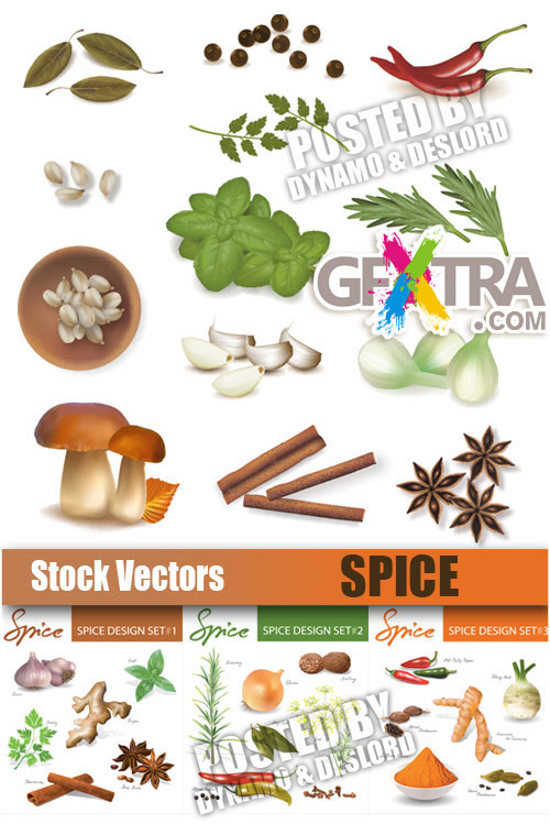 Spice - Stock Vectors
