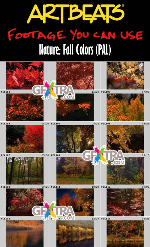 Artbeats Nature: Fall Colors (PAL)
