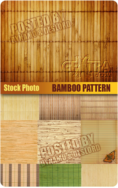 Bamboo pattern - UHQ Stock Photo