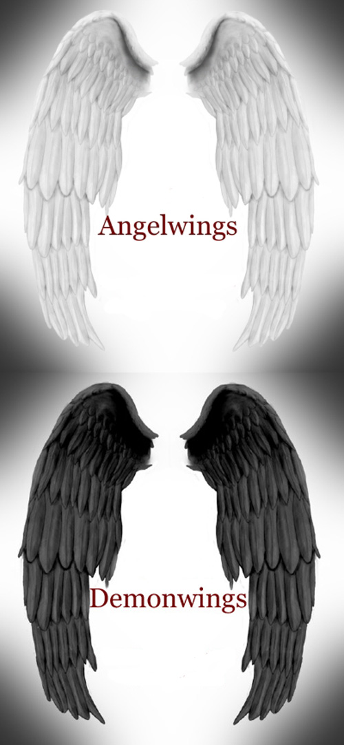 Angel and Demon Wings PSD