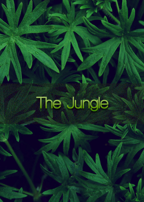 The Jungle Wall