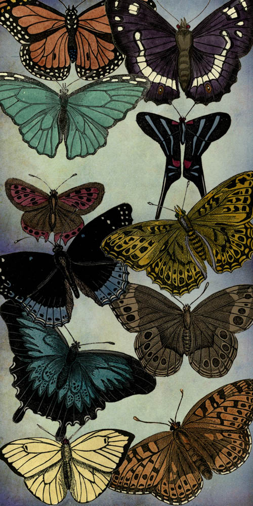 Butterflies PSD Pack