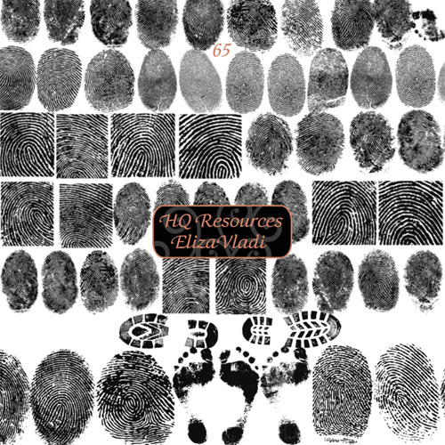 Fingerprints Brushes