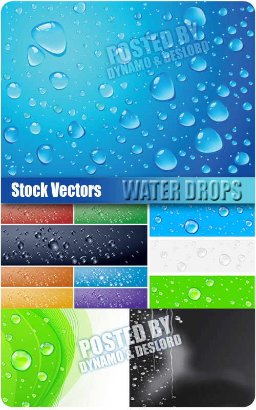 Water drops - Stock Vectors