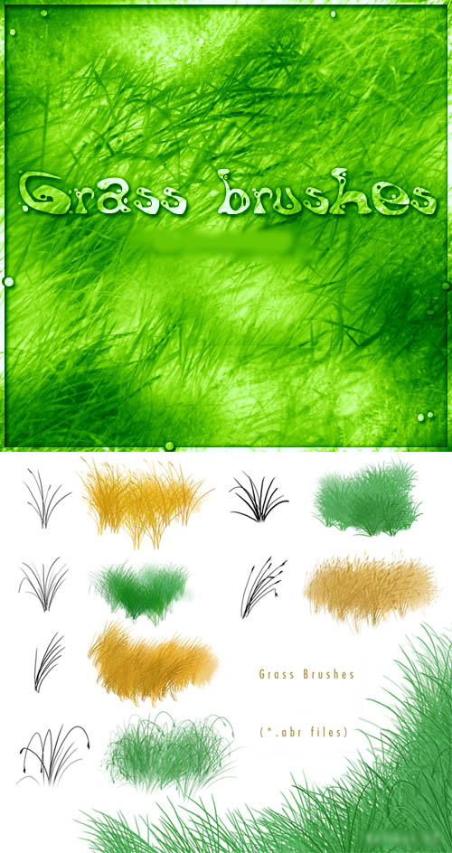Grass brushes set for Photoshop