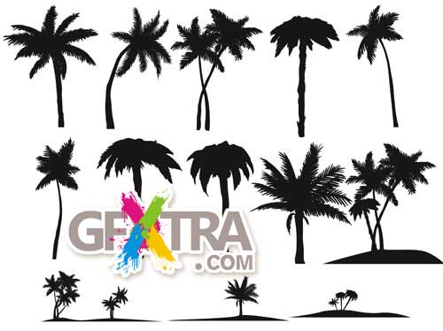 Palm Trees Brushes Set for Photoshop