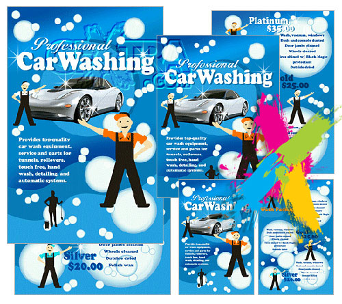 Professional Car Washing