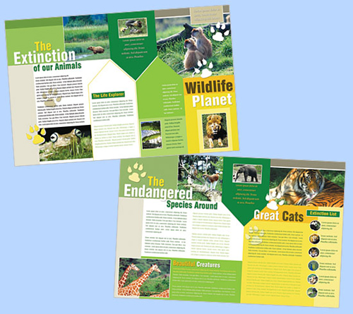 World Creatures Brochure 11 x 8.5 - BoxedArt Templates for Design