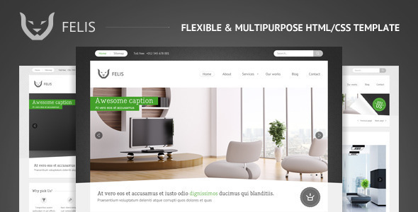 Felis - Flexible & Multipurpose html/css template - ThemeForest