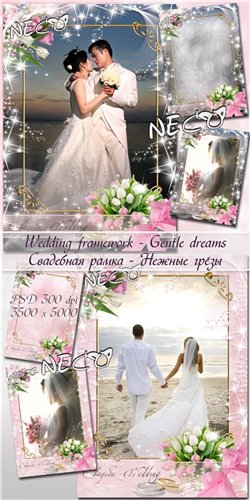 Wedding framework - Gentle dreams