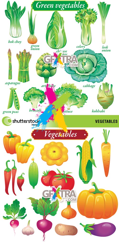 Stock Vector - Vegetables