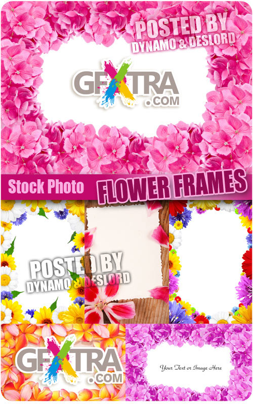 Flower frames - UHQ Stock Photo