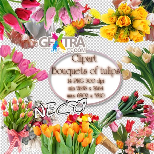 Clipart Bouquets of tulips PNG