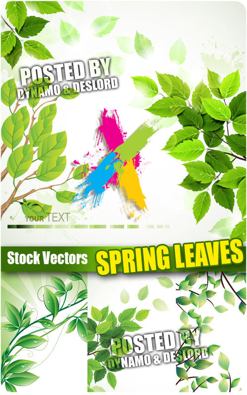 Spring leaves - Stock Vectors