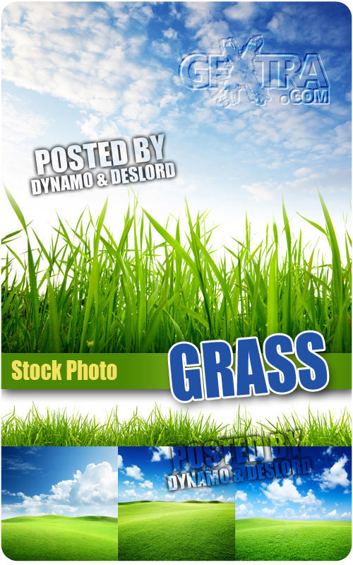 Grass - UHQ Stock Photo