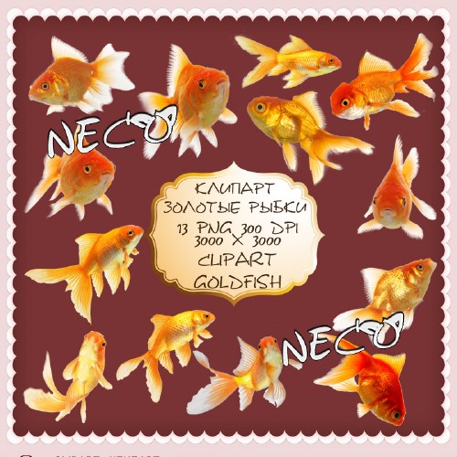 Clipart goldfish PNG