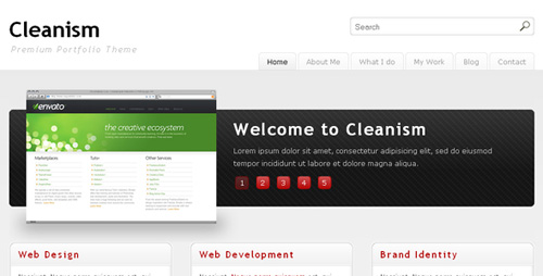 ThemeForest - Cleanism - Retail (reuploaded)