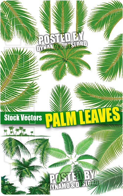 Palm leaves - Stock Vectors