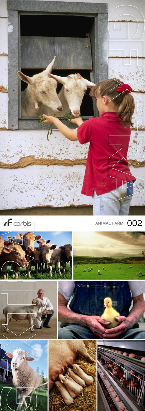 Corbis CB0002 Animal Farm