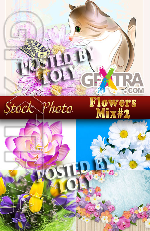 Flowers Mix #2 - Stock Photo