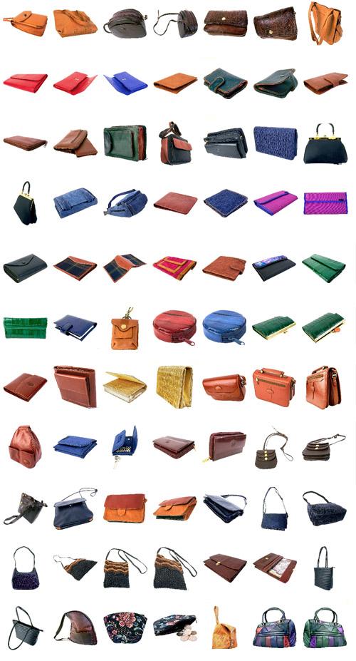 The collection of handbags and purses