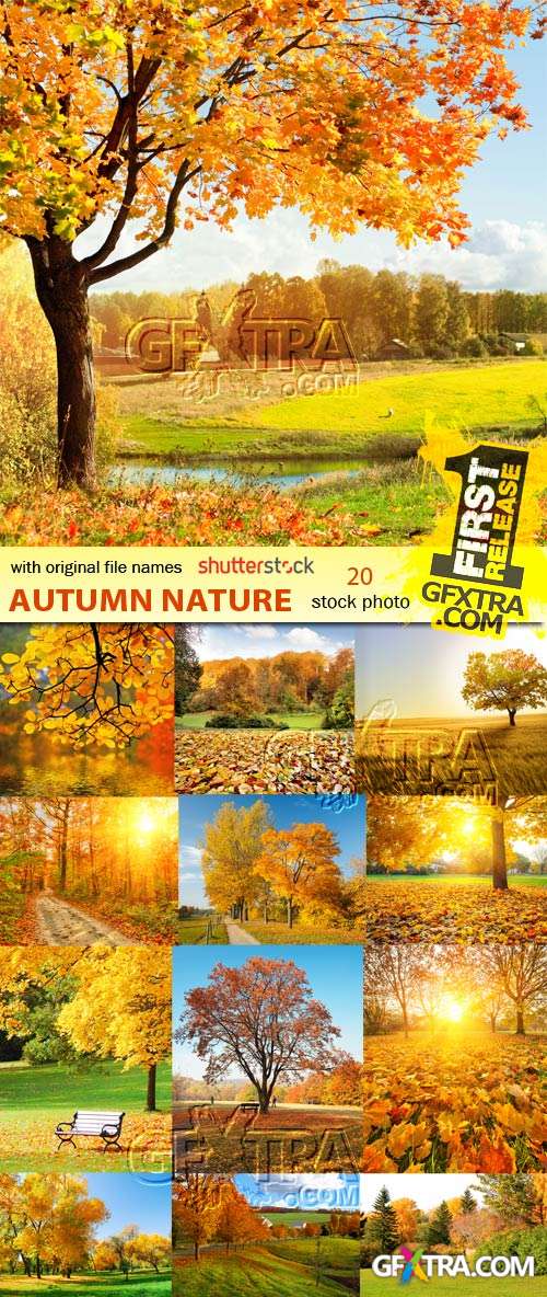 Autumn Landscape 20xJPG