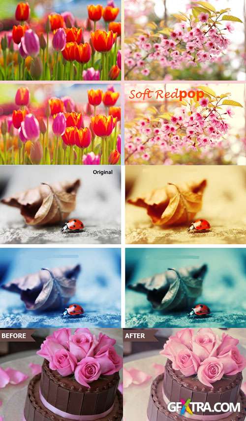 Photoshop Actions 2012 pack 738